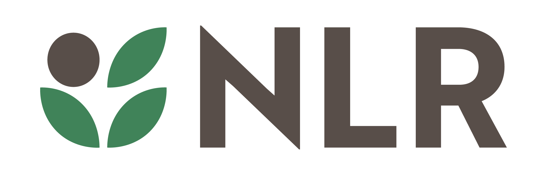 NLR SA
